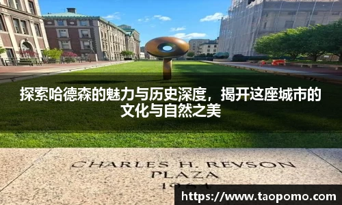 探索哈德森的魅力与历史深度，揭开这座城市的文化与自然之美