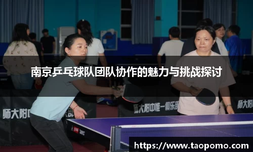 南京乒乓球队团队协作的魅力与挑战探讨
