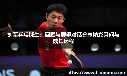 刘军乒乓球生涯回顾与展望对话分享精彩瞬间与成长历程